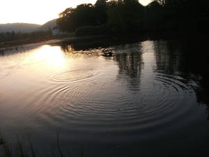 Ripple Effect-Glen Affric