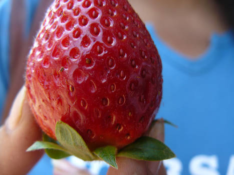 Strawberry