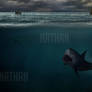 The Shark Attack - Photomanipulation