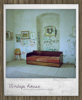 Vintage house I