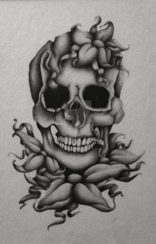 skull - Copy