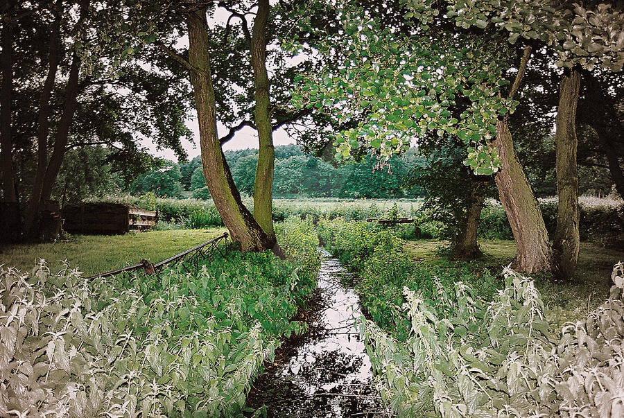 Florikethis 4 by florike on DeviantArt