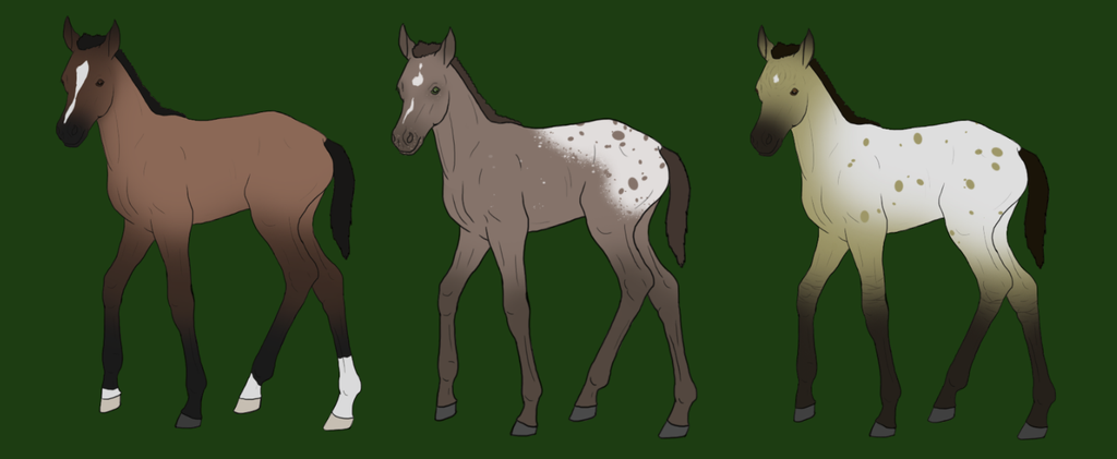 First of our Foals