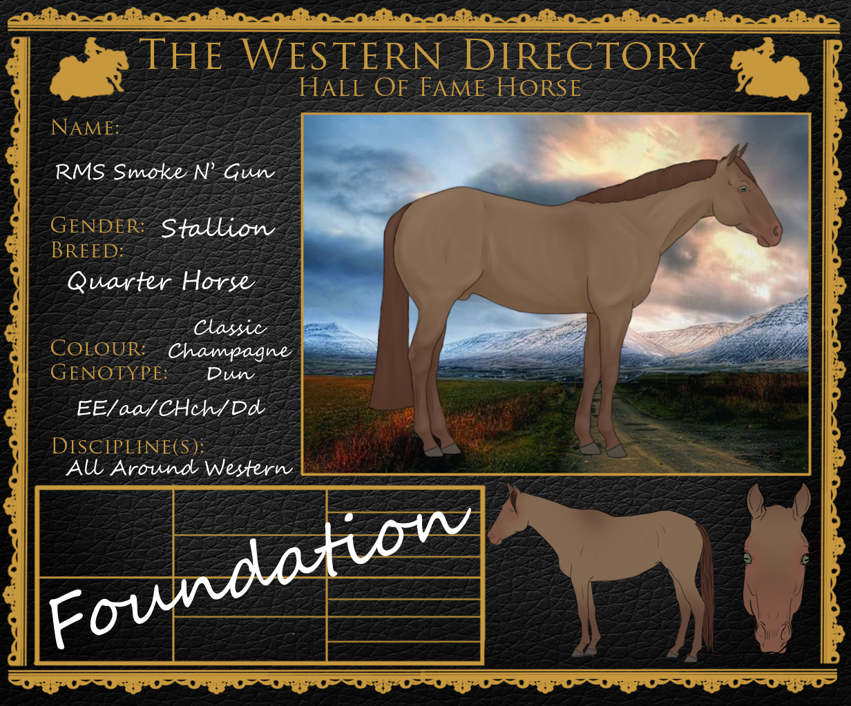 WD Hall of Game Horse RMS Smoke N' Gun