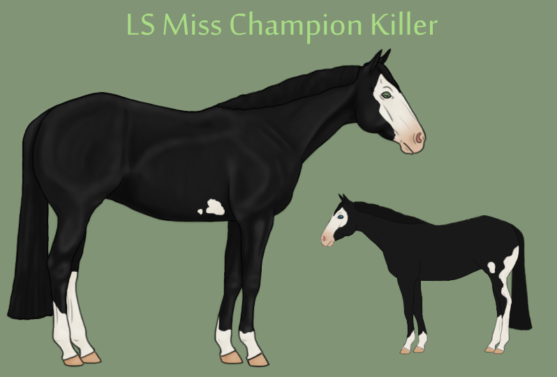 LS Miss Champion Killer