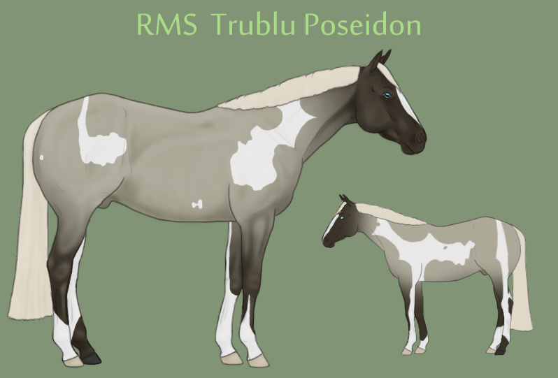 RMS Trublue Poseidon