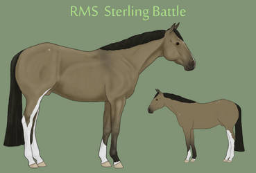 RMS Sterling Battle