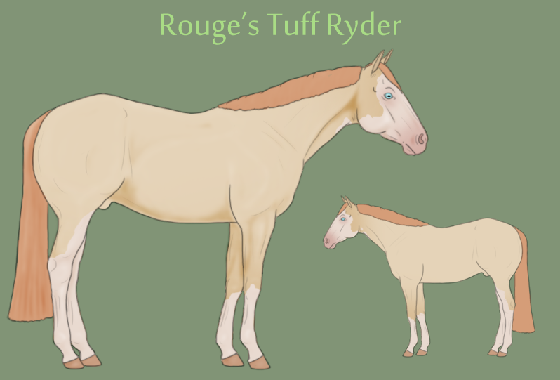 Rouge's Tuff Ryder