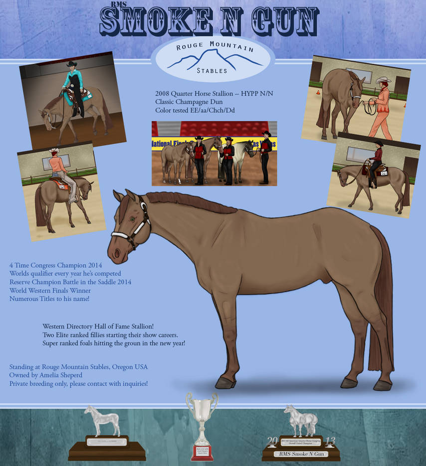 Smoke N Gun Stallion Ad