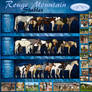 Rouge Mountain Stable
