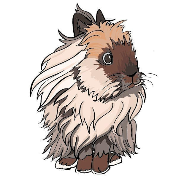 Lionhead Rabbit by necroskiss on DeviantArt