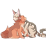 gay cats