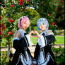 Rem and Ram in garden