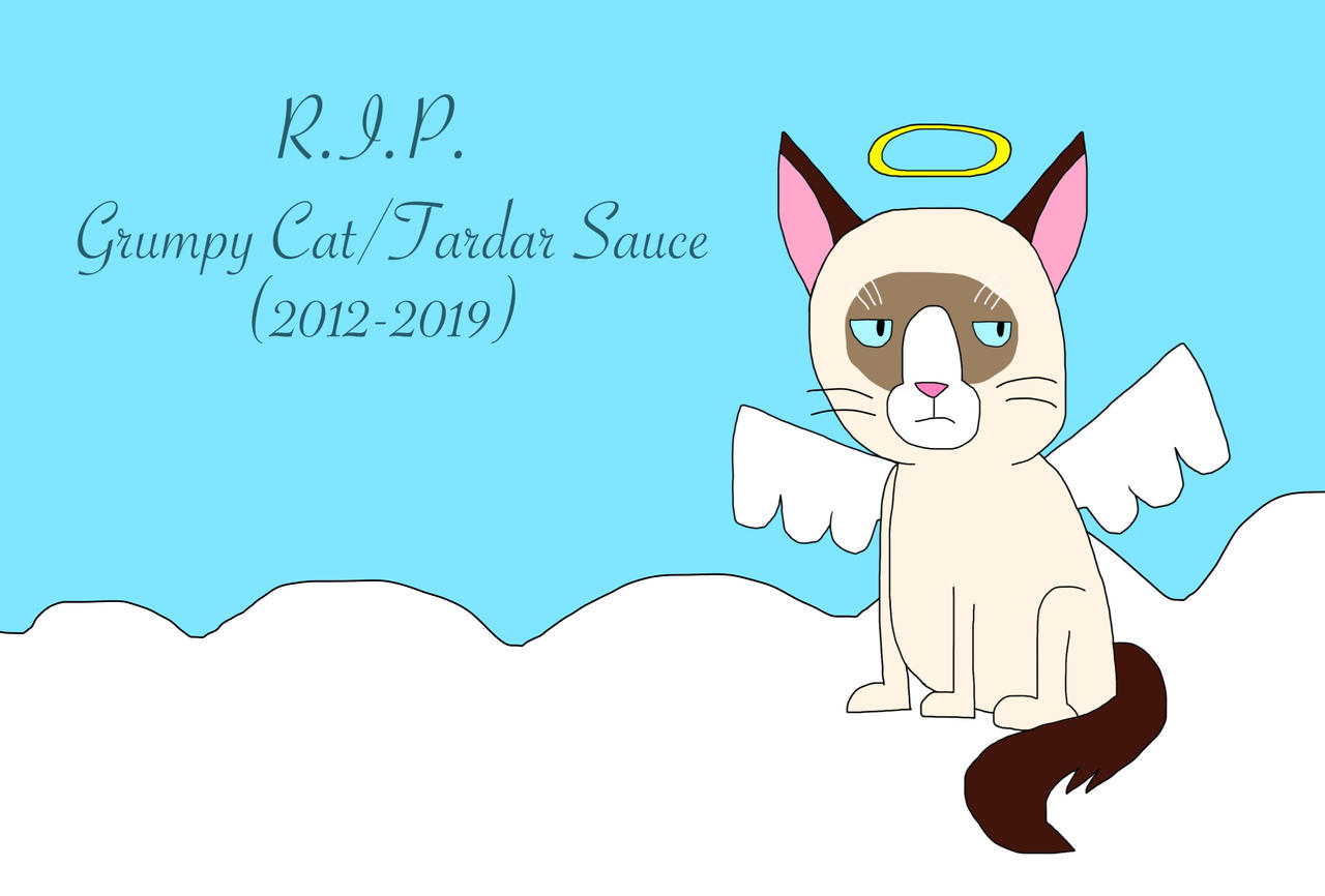 R.I.P. Grumpy Cat... by Toongirl18 on DeviantArt