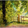 Country Fence
