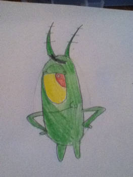 plankton