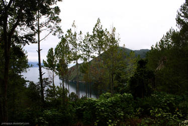 Lake Toba Toba