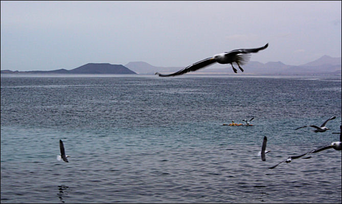 Lanzarote