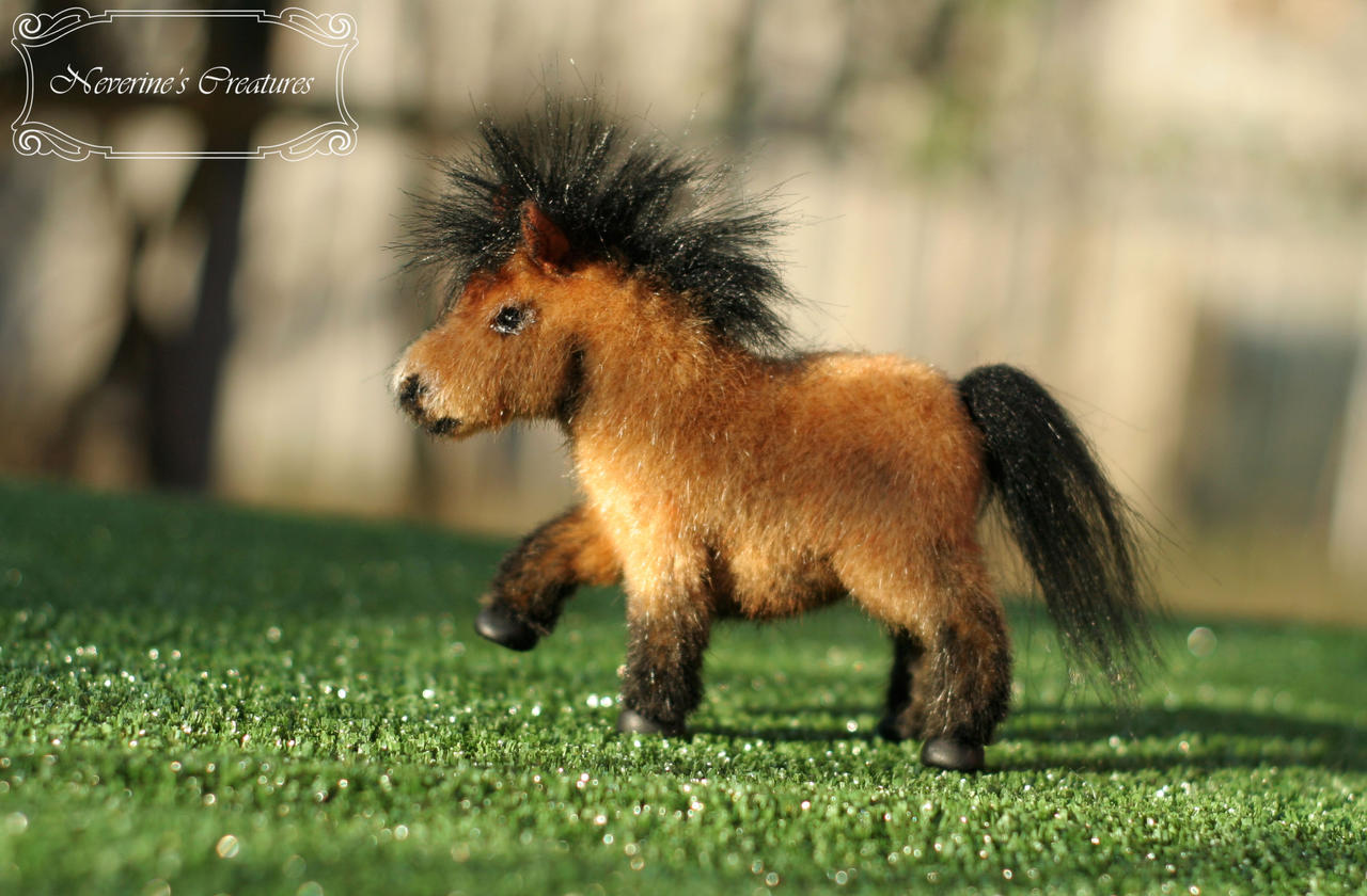 Mini Shetland Pony by NeverinesCreatures on DeviantArt