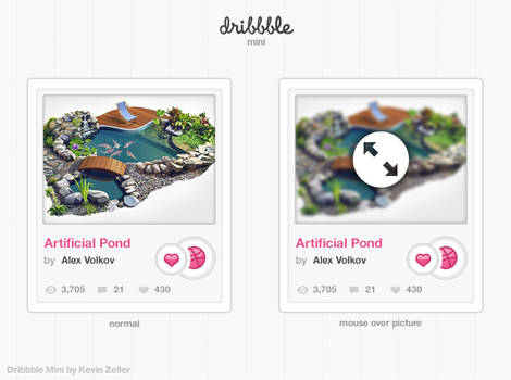 Dribbble Mini _ updated