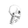 skull
