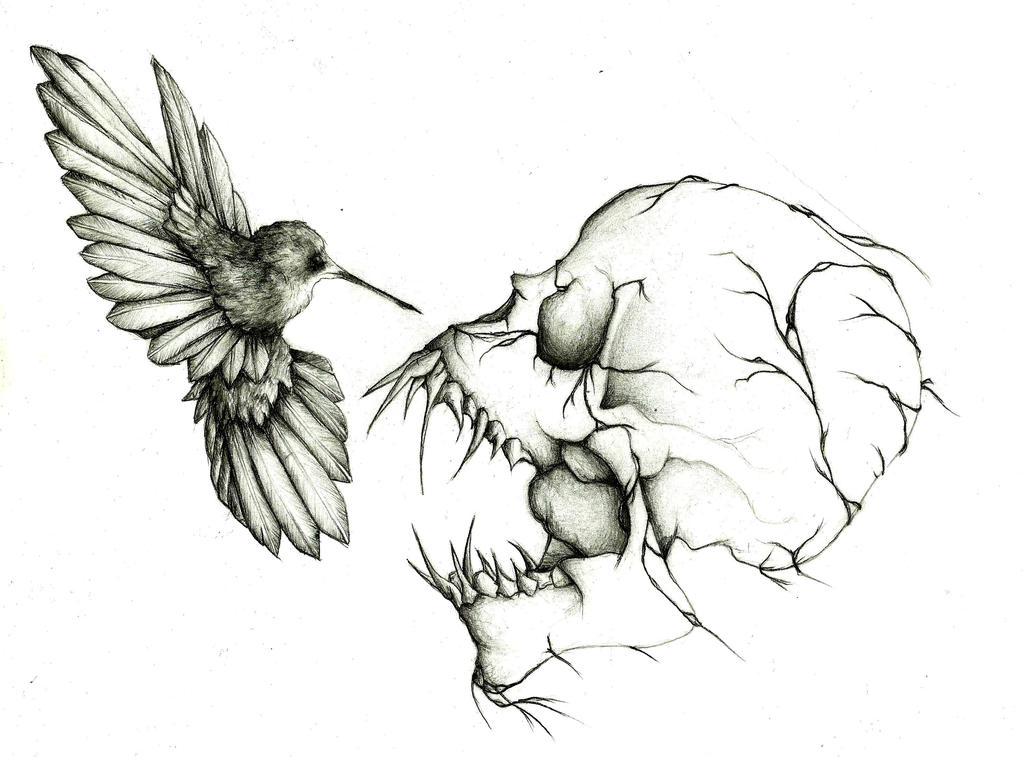 death of a humming bird