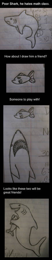 Shark Notes