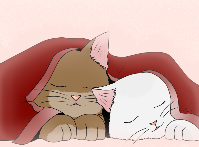 Kitty Love~