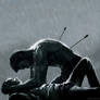 Sterek