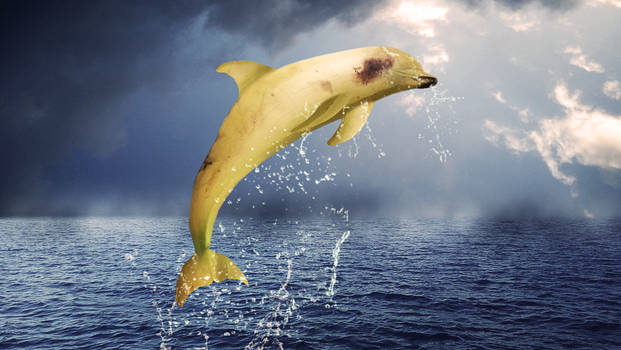 Banana_Dolphin