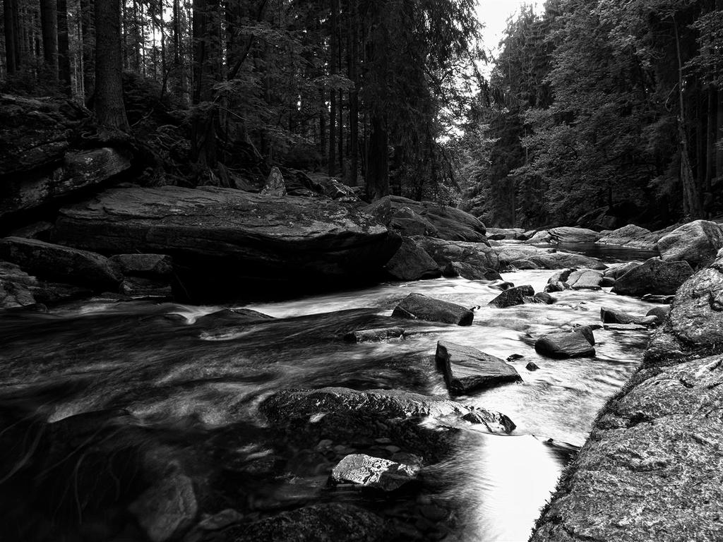 Stream of the river Orlice 3