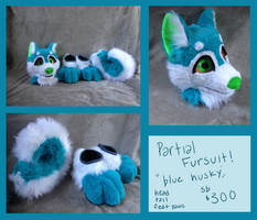 auctioning my fursuit???