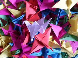 100 paper cranes