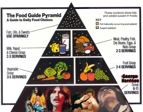 food pyramid