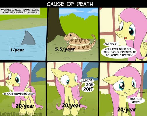 MLP Cause Of Death