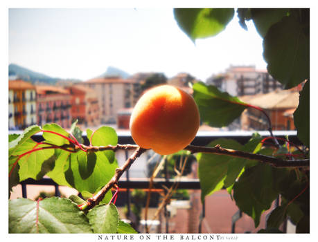 Natureonthebalcony