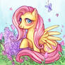 fluttershy