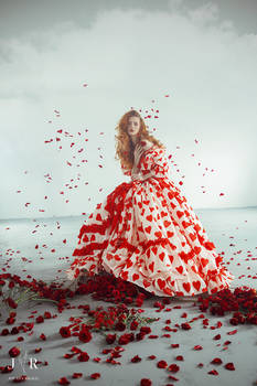 Rose Bloom