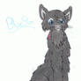 Bluestar