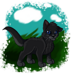 kitten crowfeather