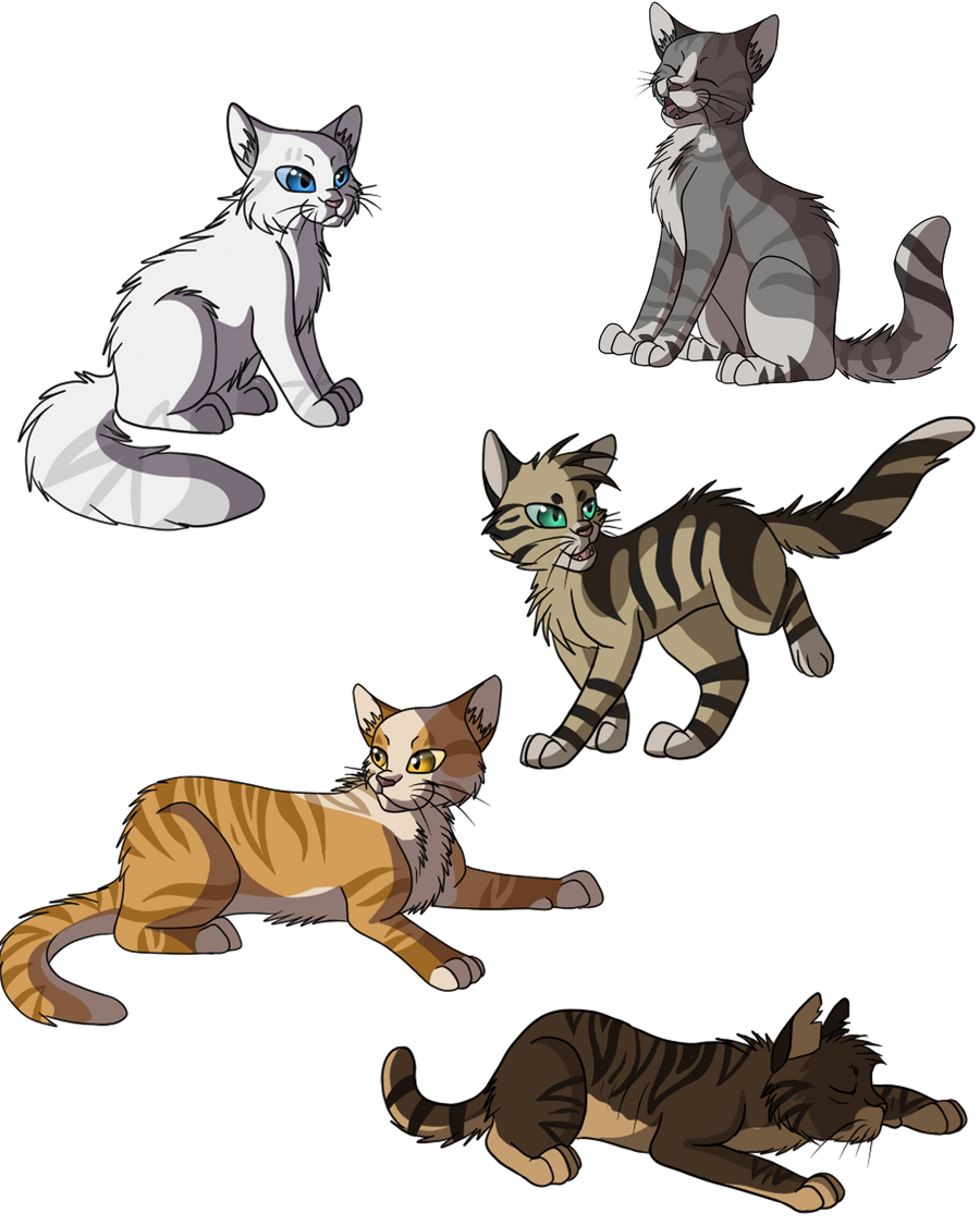 Thunderclan warriors