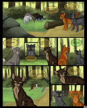 Warriors Into the Wild Page 33