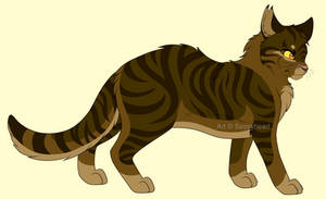 Tigerclaw 2015 design