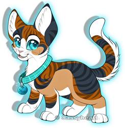 Sassys new design!