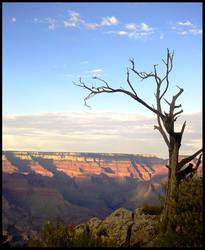 Gran Canyon