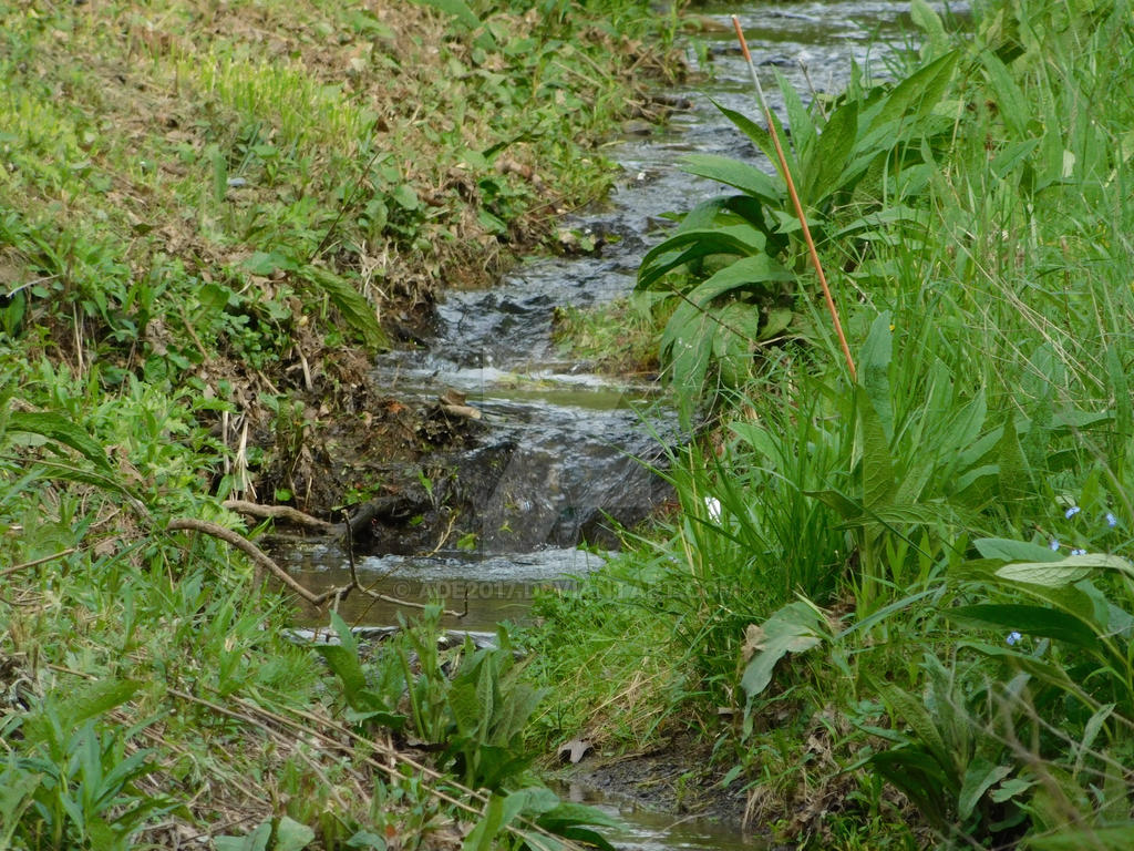 Tiny Spring by ADE2017 on DeviantArt