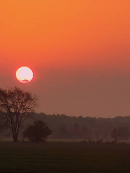 Brigden Sunrise