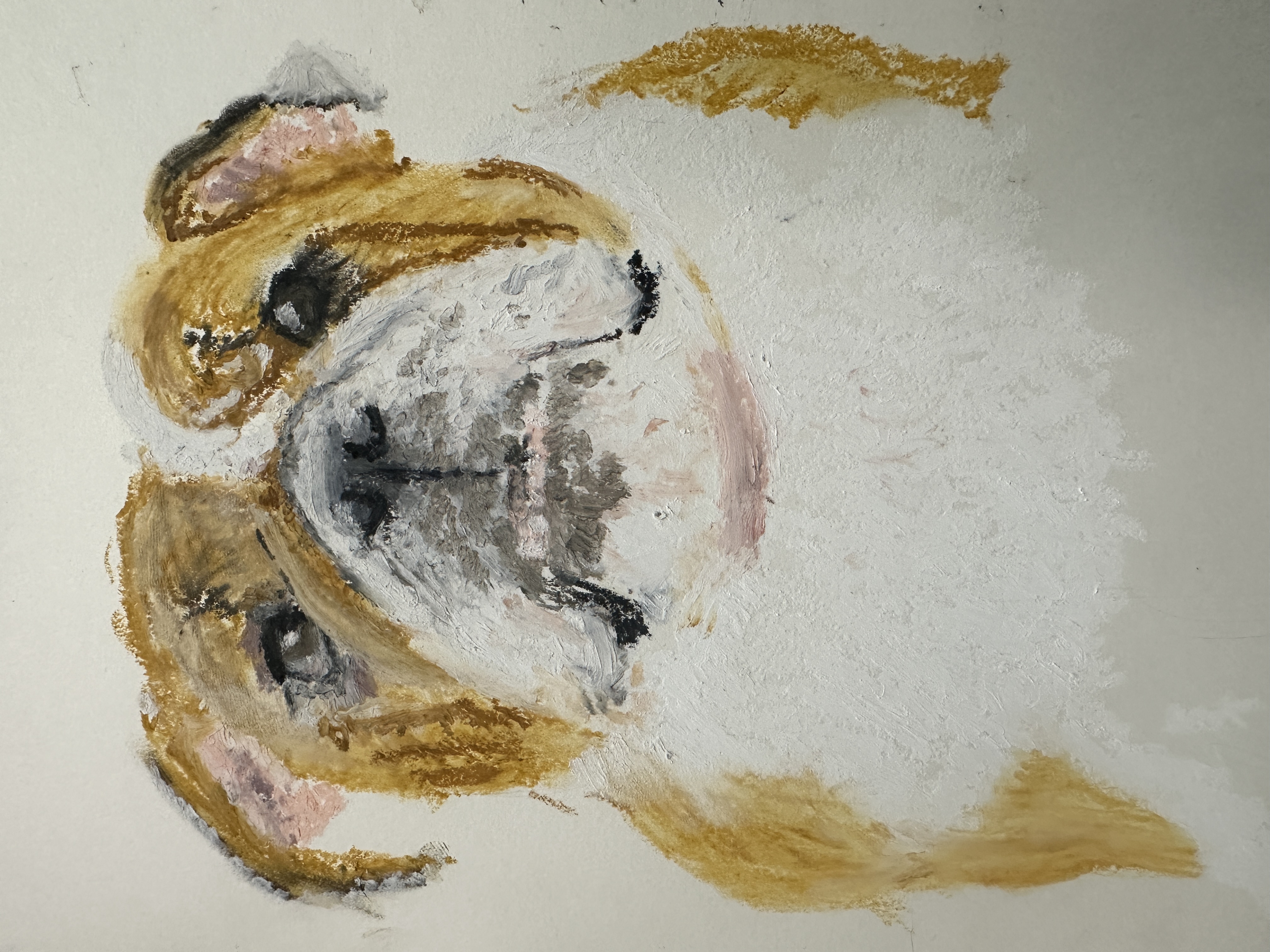 Frenchie wants a Fry