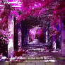 The Alley of Pink Dreams