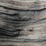 Wooden Texture IV